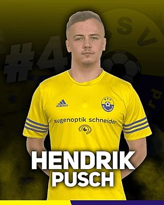 Hendrik Pusch