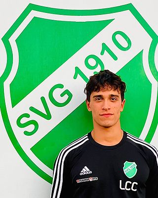 Leonardo Chiarelli Costa
