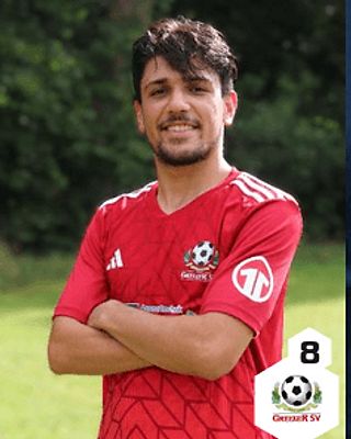 Sayed Arman Habibi