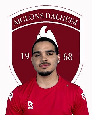 Ricardo Filipe De Sousa Carneiro