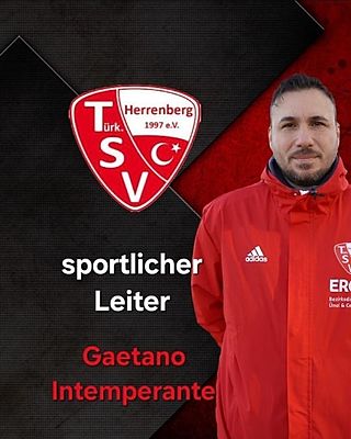 Gaetano Intemperante