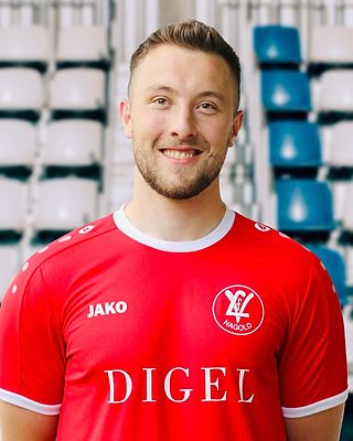 Joel Mogler