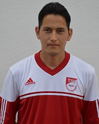 Abbas Safary