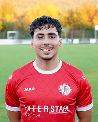 Dario Martins Braga