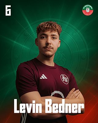 Levin Bedner