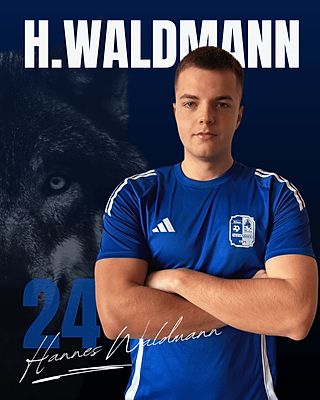 Hannes Waldmann