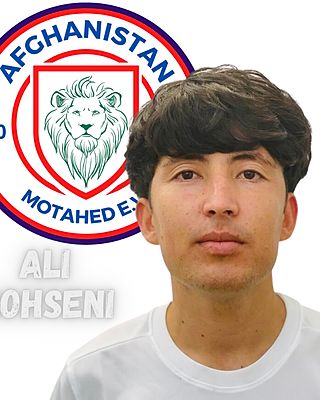 Ali Mohseny