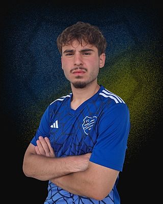 Efe Temizel