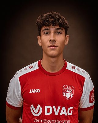 Dominik Wentland