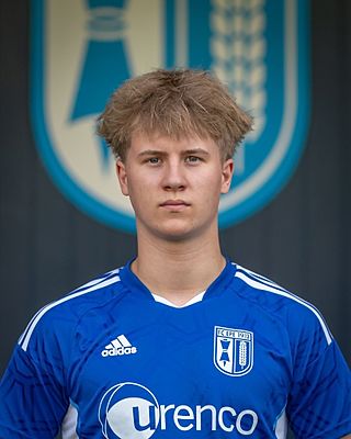 Henrico Holtkamp