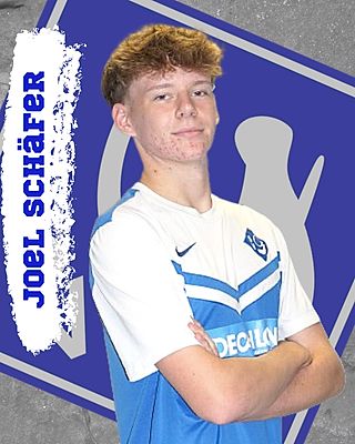 Joel Schäfer