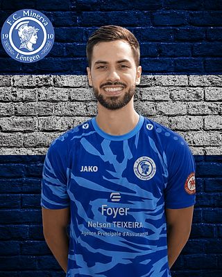 Diogo Luis Afonso