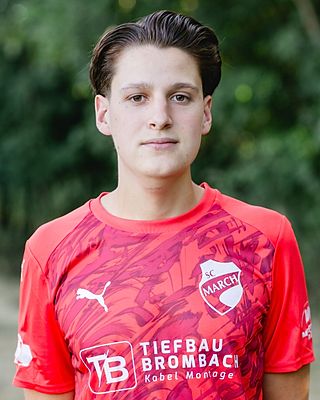 Ambros Pfeiffer