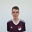 Dominik Saule