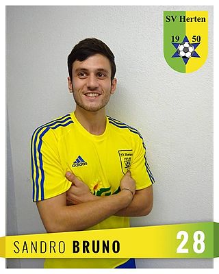 Sandro Bruno