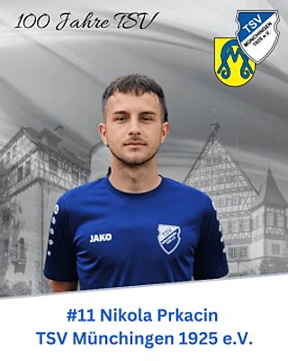 Nikola Prkacin