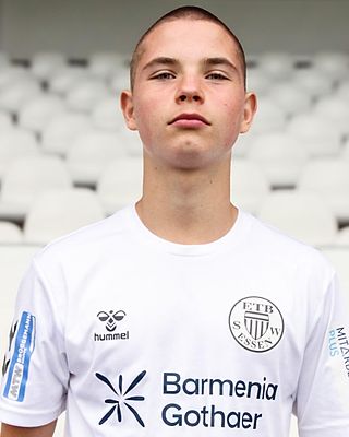 Joris Wege