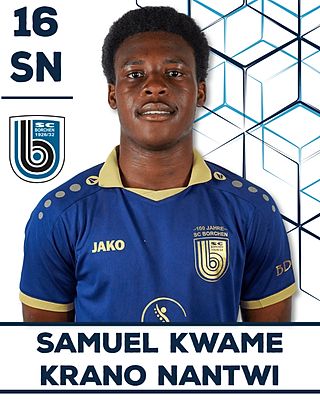 Samuel Kwame Kramo Nantwi