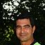 Habib Chouk