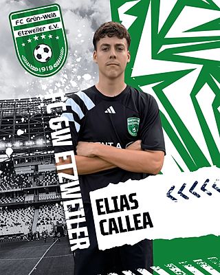 Elias Carlemo Callea