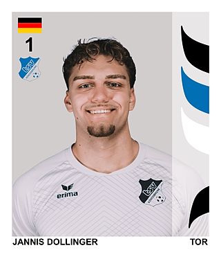 Jannis Dollinger