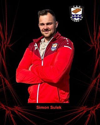 Simon Sulek