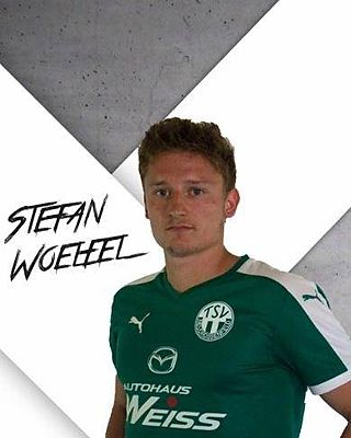 Stefan Wölfel