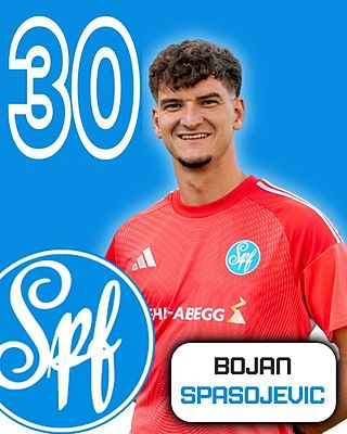 Bojan Spasojevic