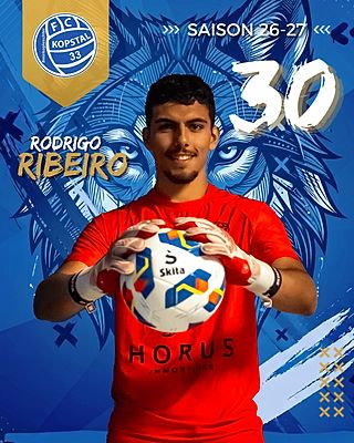 Rodrigo Miguel Tavares Ribeiro