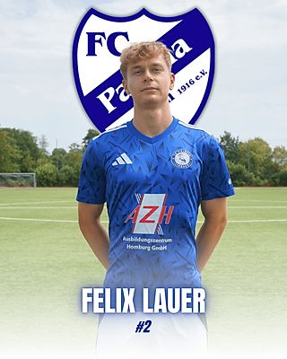 Felix Lauer