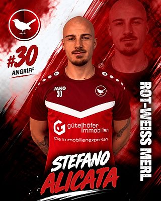 Stefano Alicata