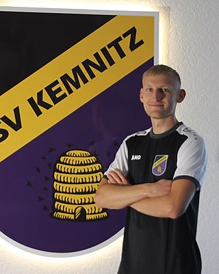 Leon Brinkmann