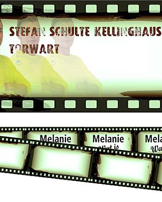 Stefan Schulte-Kellinghaus