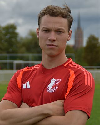 Theo Möser