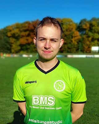 Theo Holger Werner Schlichting