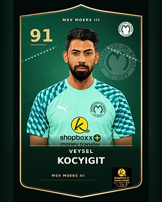 Veysel Kocyigit