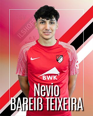 Nevio Luis Bareiß Teixeira