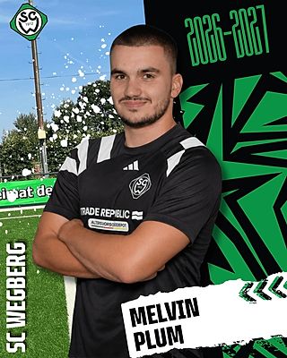 Melvin Plum