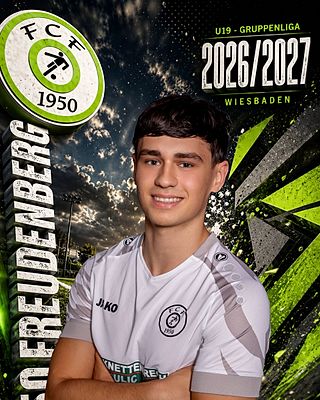 Nemanja Dmitrovic