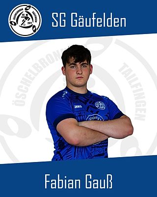Fabian Gauss
