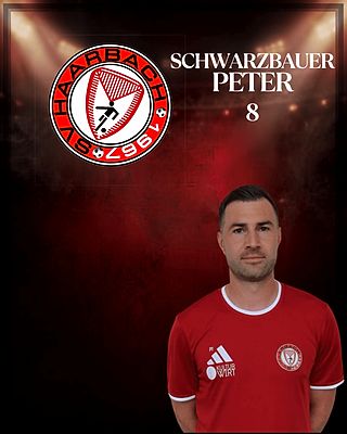 Peter Schwarzbauer