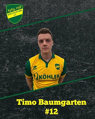 Timo Baumgarten