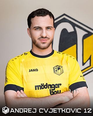 Andrej Cvjetkovic
