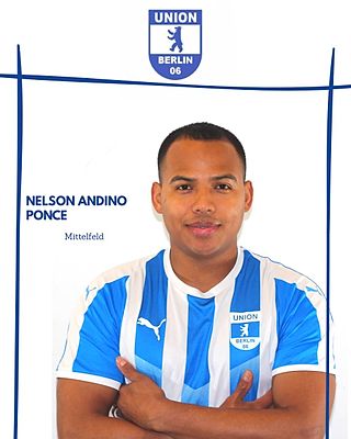 Nelson Andino Ponce