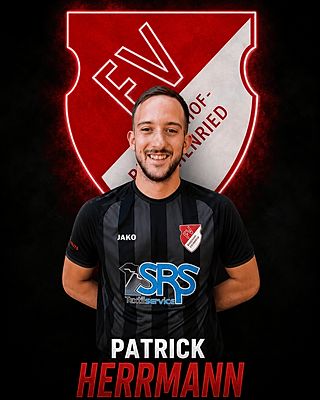 Patrick Herrmann