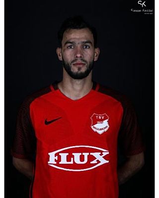 Mohamad Bashir Krikar