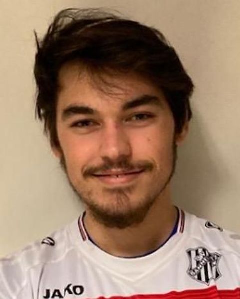 Foto: Prof. Dr. Karl-Heinz van Pèe