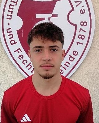 Tiziano, Romeo Ligorio