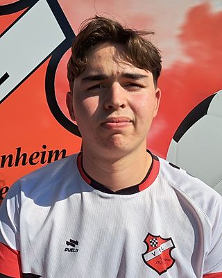 Leonardo Toves