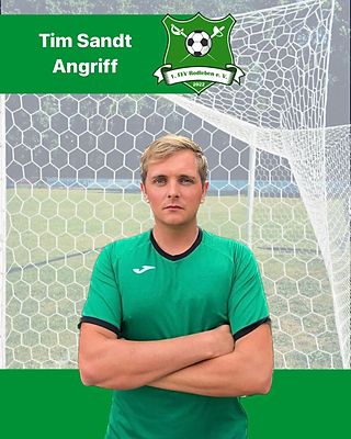 Tim Sandt